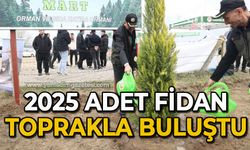 2025 adet fidan toprakla buluştu