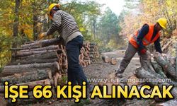 İşe 66 kişi alınacak