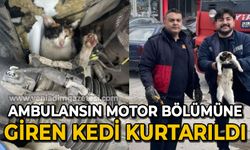 Ambulansın motor bölümüne giren kedi kurtarıldı