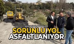 Sorunlu yolda asfaltlama çalışmaları yapılıyor