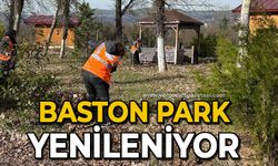 Baston Park yenileniyor