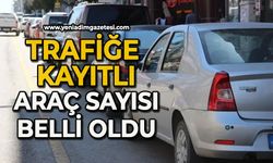 Zonguldak’ta trafiğe kayıtlı araç sayısı 194 bini aştı