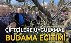 Çiftçilere uygulamalı budama eğitimi