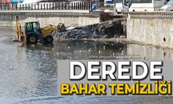 Derede bahar temizliği başladı