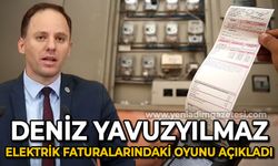 Deniz Yavuzyılmaz elektrik faturalarındaki oyunu açıkladı: Az tüketene çok zam!