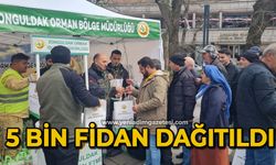 Vatandaşlara fidan dağıtıldı