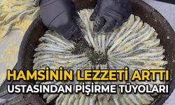 Hamsinin lezzeti arttı: Ustasından pişirme tüyoları verdi