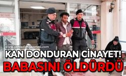 Kan donduran cinayet babasını öldürdü