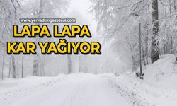 Lapa lapa kar yağışı