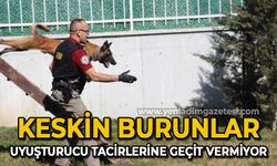 "Keskin burunlar" zehir tacirlerine geçit vermiyor