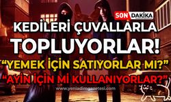 Kedileri çuvalla topluyorlar: Yemek için satıyorlar mı yoksa ayin için mi kullanıyorlar?