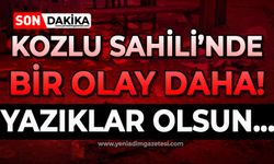 Kozlu Sahili'nde bir olay daha: Yazıklar olsun!