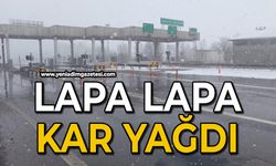 Mart ayında  lapa lapa kar yağdı