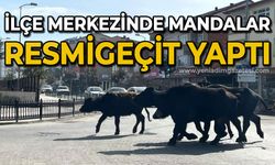 Mandalar resmigeçit yaptı