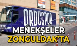 Menekşeler Zonguldak’ta