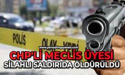 CHP'li meclis üyesi silahlı saldırıda öldürüldü