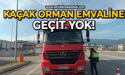 Kaçak orman emvaline geçit yok