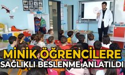 Minik öğrencilere sağlıklı beslenme anlatıldı