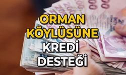 Orman köylüsüne kredi desteği