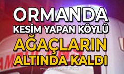 Ormanda kesim yapan köylü hastanelik oldu