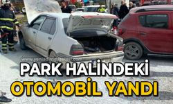 Park halindeki otomobil yandı