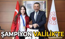 Şampiyon Valilik'te