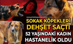 3 köpeğin saldırısına uğrayan kadın yaralandı