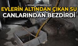 Evlerin altından çıkan su canlarından bezdirdi