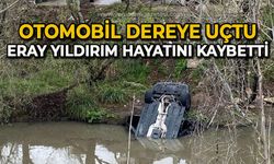 Dereye uçan otomobilin sürücüsü hayatını kaybetti