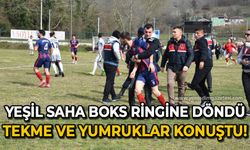 Yeşil saha boks ringine döndü: Tekme ve yumruklar konuştu!