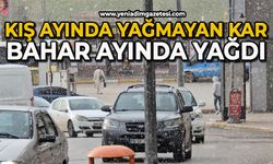 Kış ayında yağmayan kar bahar ayında geldi