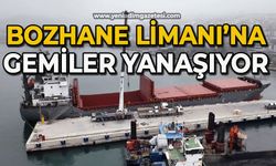 Bozhane Limanı'na  gemiler yanaşmaya başladı