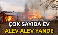 Çok sayıda ev ve ahır alevlere teslim oldu