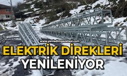 Elektrik direkleri yenileniyor