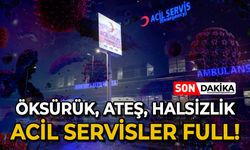 Öksürük, ateş, halsizlik: Acil servisler full!
