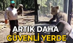 Orman işçilerinin yanına gelen yavru ayı koruma altına alındı