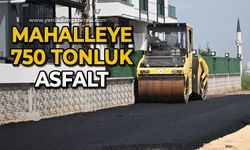 Mahalleye 750 tonluk asfalt