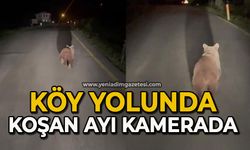 Köy yolunda koşan ayı kamerada