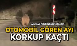 Otomobil gören ayı korkup kaçtı