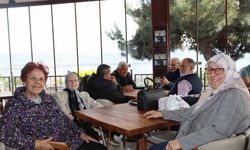 Çınarların yeni huzur durağı