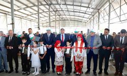 Eğitim festivali coşkusu