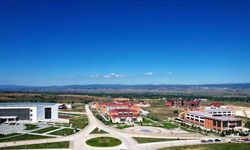 Kastamonu Üniversitesi’nde hayvansal ilaçlardaki mikroplastik tehlikesi araştırılacak