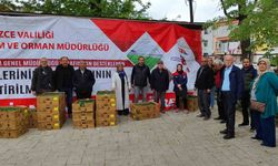 Yüzde 75’i bakanlık destekli fideler çiftçilere dağıtıldı