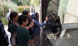 Çocuklar hayvanat bahçesini gezdi