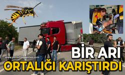 Bir arı ortalığı karıştırdı