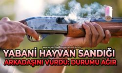 Yabani hayvan sandığı arkadaşını av tüfeğiyle vurdu