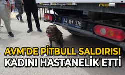 AVM'de Pitbull saldırısı kadını hastanelik etti