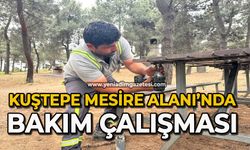 Kuştepe Mesire Alanı’nda bakım çalışması