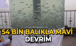 54 bin balıkla mavi devrim