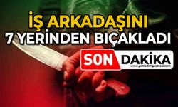 İş arkadaşını 7 yerinden bıçakladı